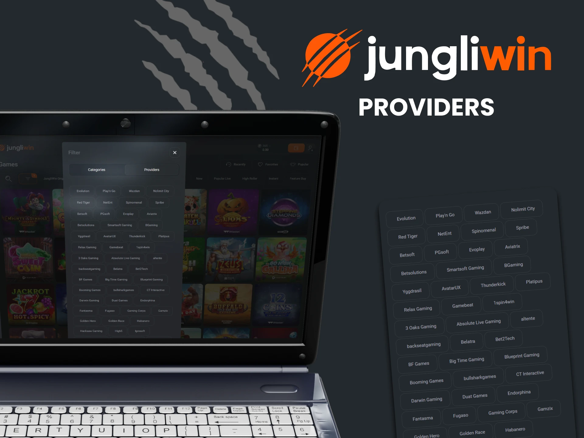 Jungliwin has a large selection of providers.