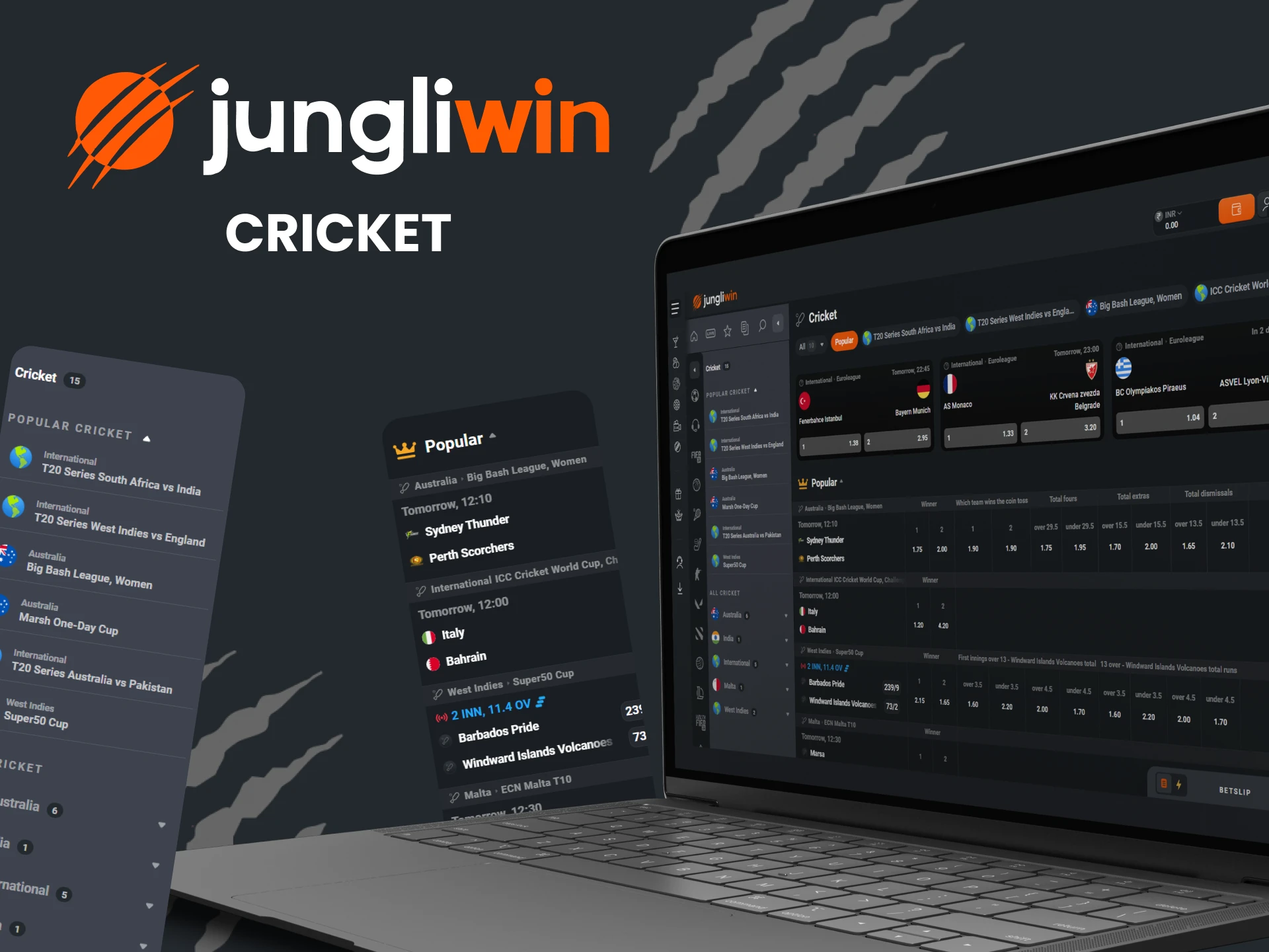 Choose cricket in the sports section for betting on Jungliwin.