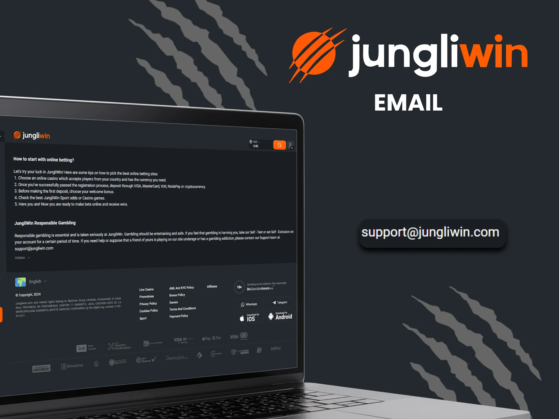 Use email to contact Jungliwin support.