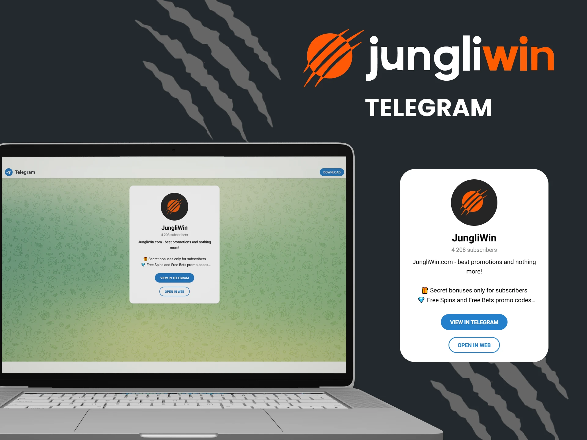 You can contact Jungliwin support via Telegram.